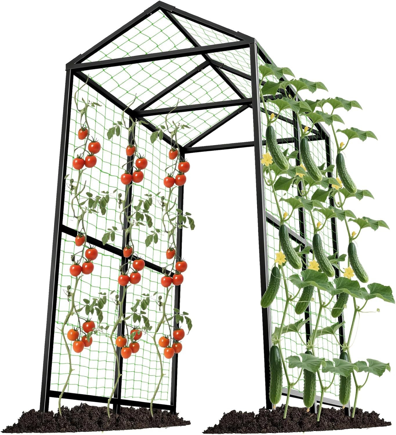 Red Barrel Studio Metal Garden Arch Trellis for Climbing Plants Outdoor ...