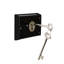 Serrure victorienne-40364994