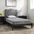 Modway Mila Firm 6" Fiberglass Free Memory Foam Narrow Twin Mattress-1905896914
