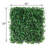 10'' Faux Hedge