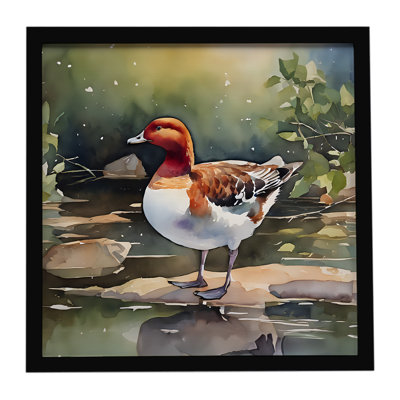 Redhead Duck Framed Metal Print