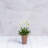 Sewickly Pot Planter-683715936-683715965