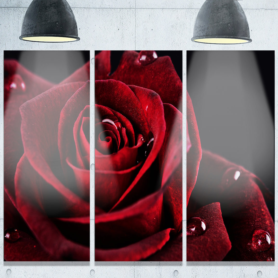 " Red Rose With Raindrops On Black " 3 - Pieces Design Art