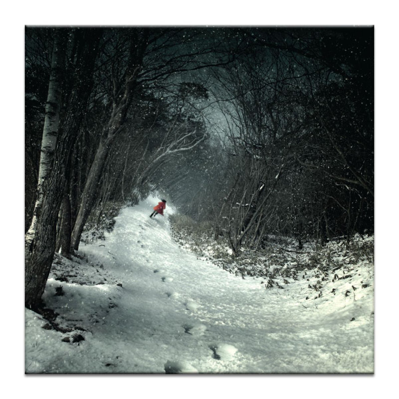 Wrapped Canvas Print, 41cm H x 41cm W