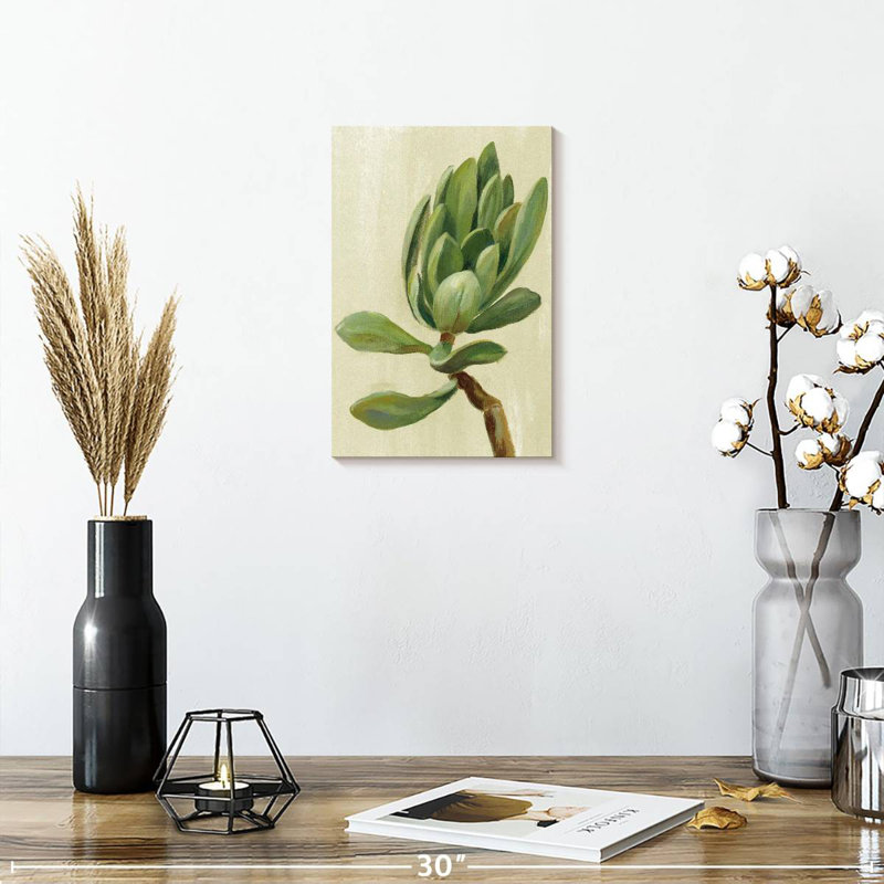 Harnek Front Yard Succulent III, 12" H x 8" W