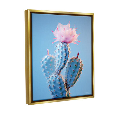 «Pink Budding Cactus Flowers» par RB sur