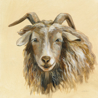 Highland Animal Sheep