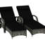 Chaises longues roulantes d'extérieur, ensemble de 2, dossiers inclinables, coussins confortables, oreiller, structure en PE et acier, assises de patio douces