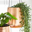 Iron Hanging Planter-110956616