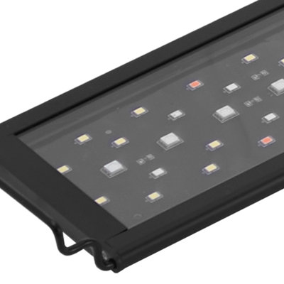 Francisquita Aquarium Light