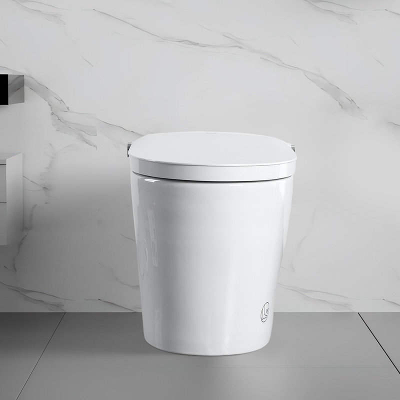 Smart Toilet With Built - In Bidet, And One Piece Design, Auto Open/Close Lid By Radar Sensor, Flush System, Heated Seat Adjustable Temperature, Warm Water Wash Bubble Wash. Multiple Modes Like Move