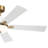 56'' Ceiling Fan with LED Lights-1440502435