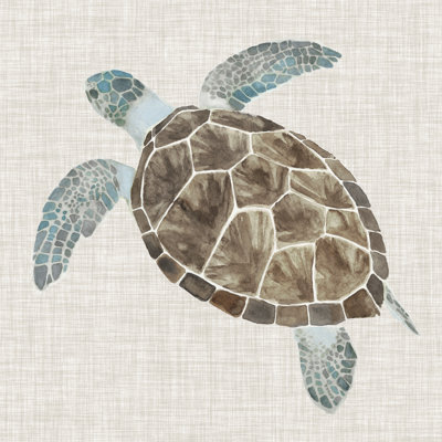 Sea Turtle II by Naomi McCavitt - Wrapped Canvas Painting