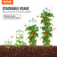 Plant Support