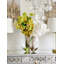 Vandas and Cymbidiums Centerpieces in Vase
