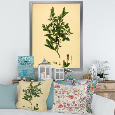 Vintage Plant Life XXV - Décoration murale traditionnelle