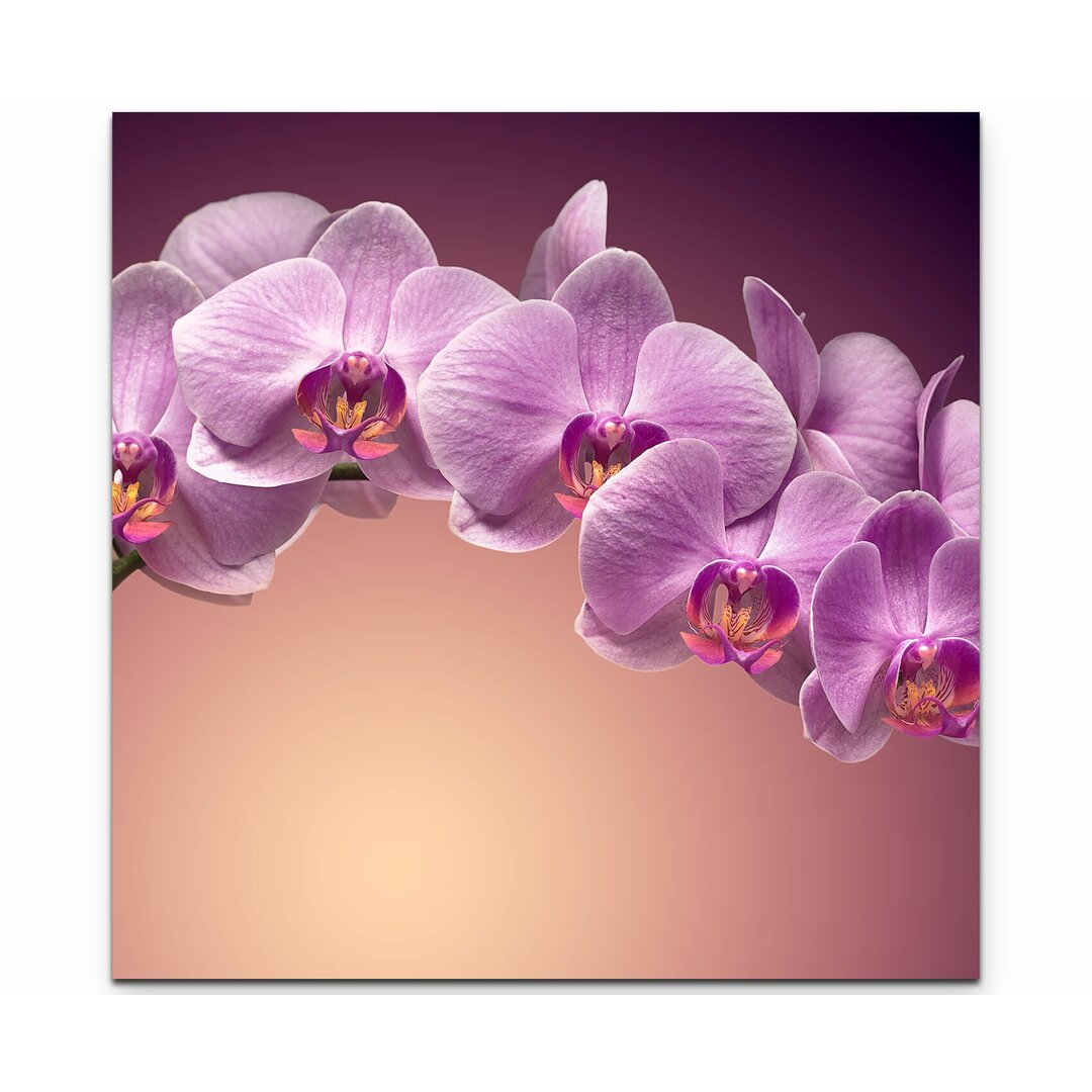 Leinwandbild Rosa Orchideenrispe – Nahaufnahme