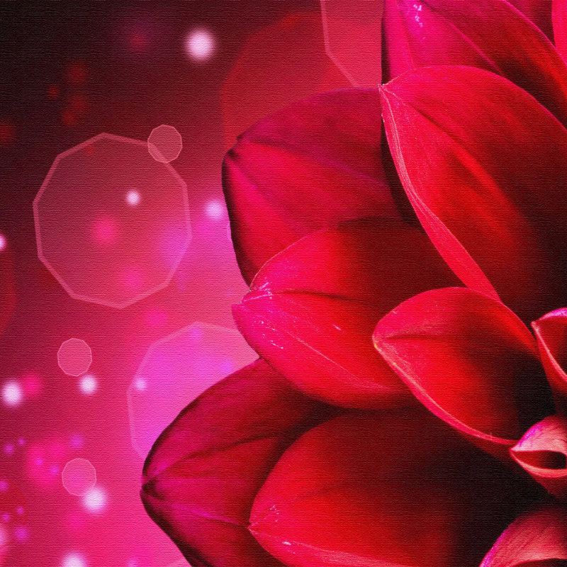 Sensual Flower - Print, 100cm H x 150cm W x 4cm D