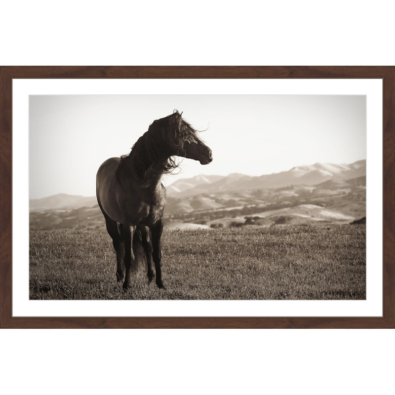 Melanie Snowhite - Single Picture Frame Print, 61cm H x 91cm W x 3.81cm D
