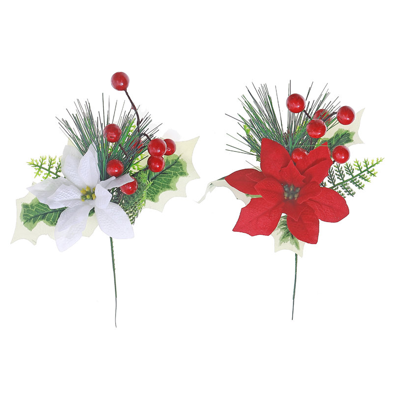 Ensemble de 12 poinsettias et baies