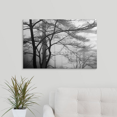 «Trees and Fog in the Yellow Mountains», reproduction de photo