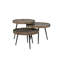 Luton Nesting Coffee Table Set