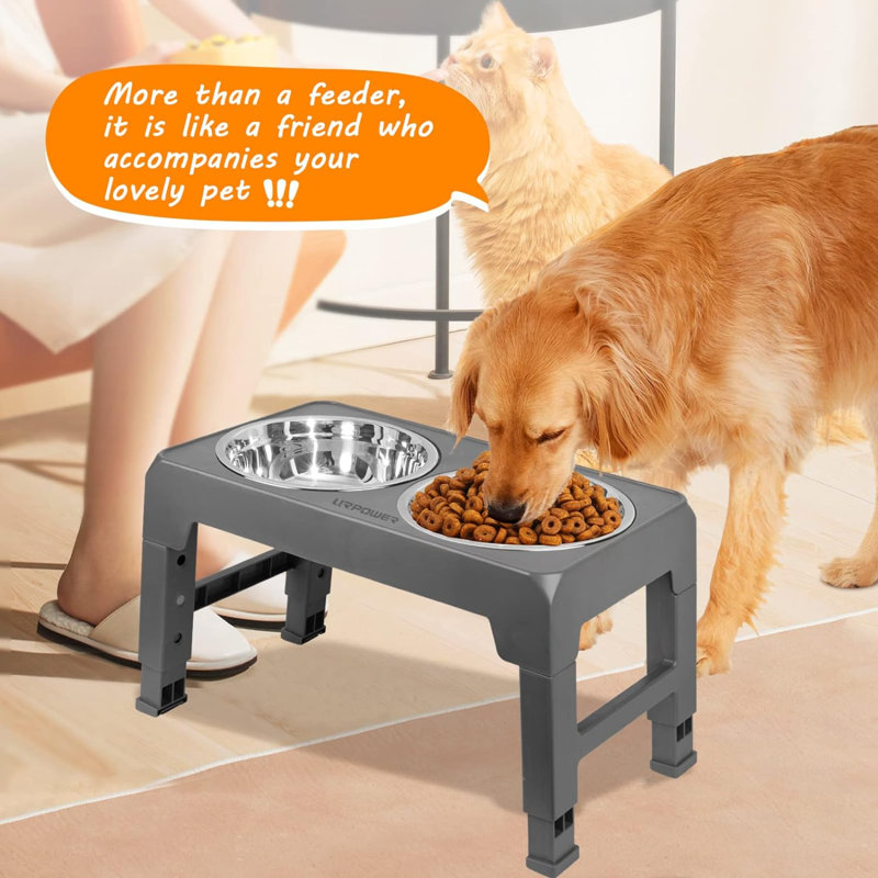 Elevated Feeder, Gray