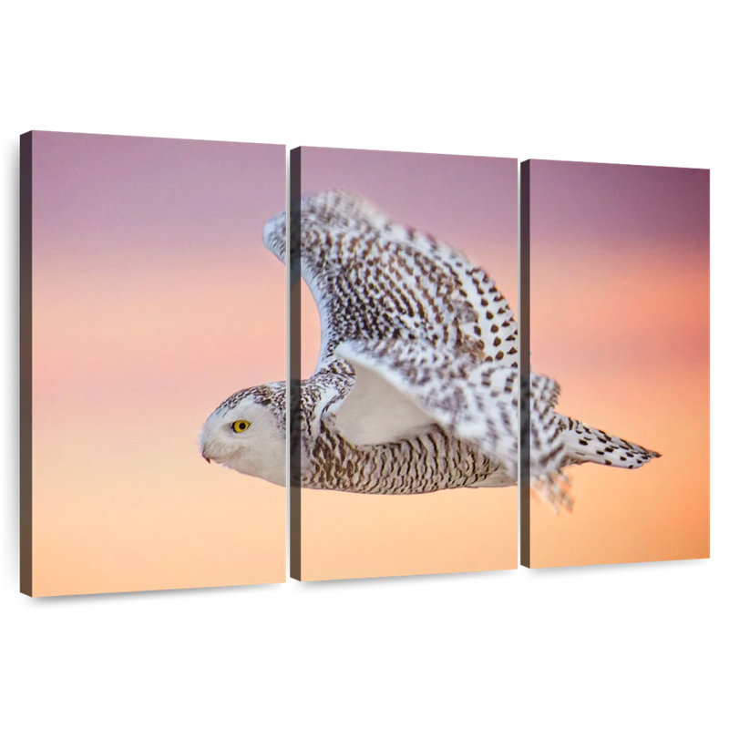 Vol silencieux de hibou, H 48 po x l 74 po