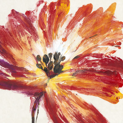 Fleur Rouge I by Tim OToole - Wrapped Canvas Painting
