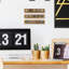 3-Piece Collectible Coin Display Case Shelves