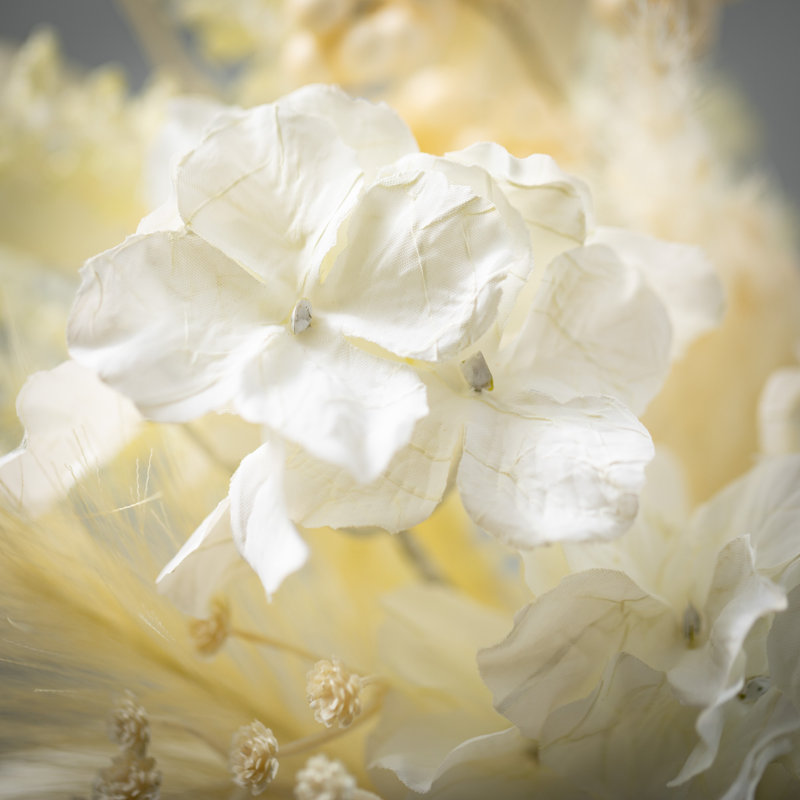 29,25 po Hydrangea Pampas Vaporisateur; crème