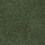 Forest Green Shaggy -174063877