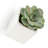Farmington Ceramic Wall Planter-1977110367-1976364109