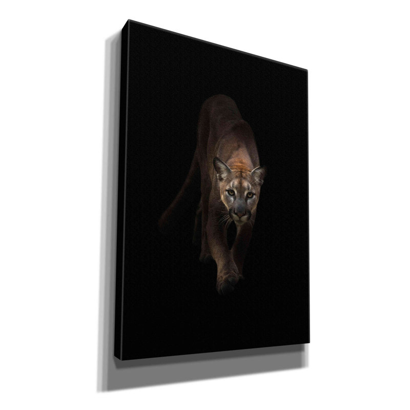 «Lion» par Incado, estampe numérique sur toile, L 18 po x H 26 po