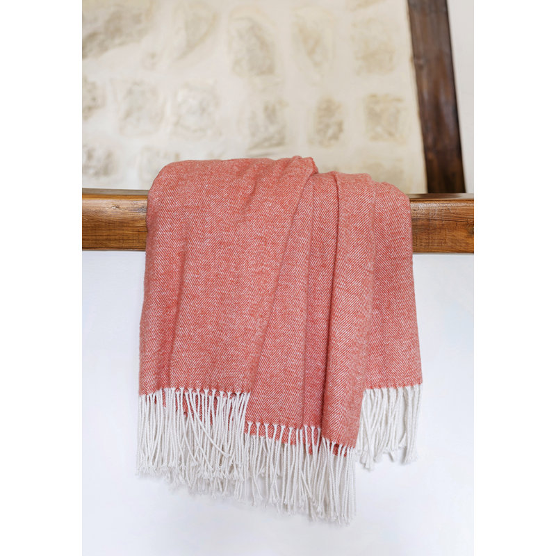Banach Blanket, Ginger