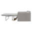Cozy 3 Seater Sleeper Sofa Bed-1159933329