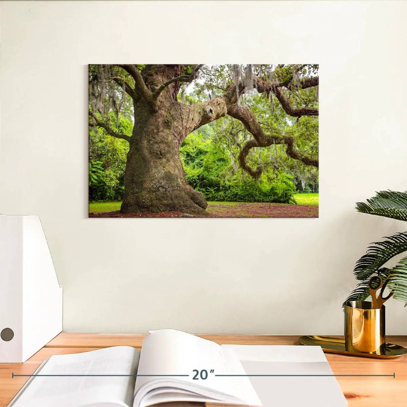 Harnek Live Oak Tree, 8" H x 12" W