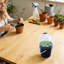 Ensemble de culture Bonis Hydroponics