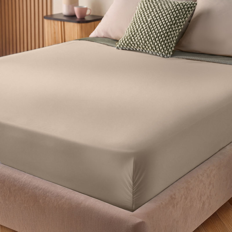 Silentnight Supersoft Perfect Fit Fitted Sheet, Single, Natural