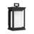 Roscoe Small Lantern from Generation Lighting -19711599