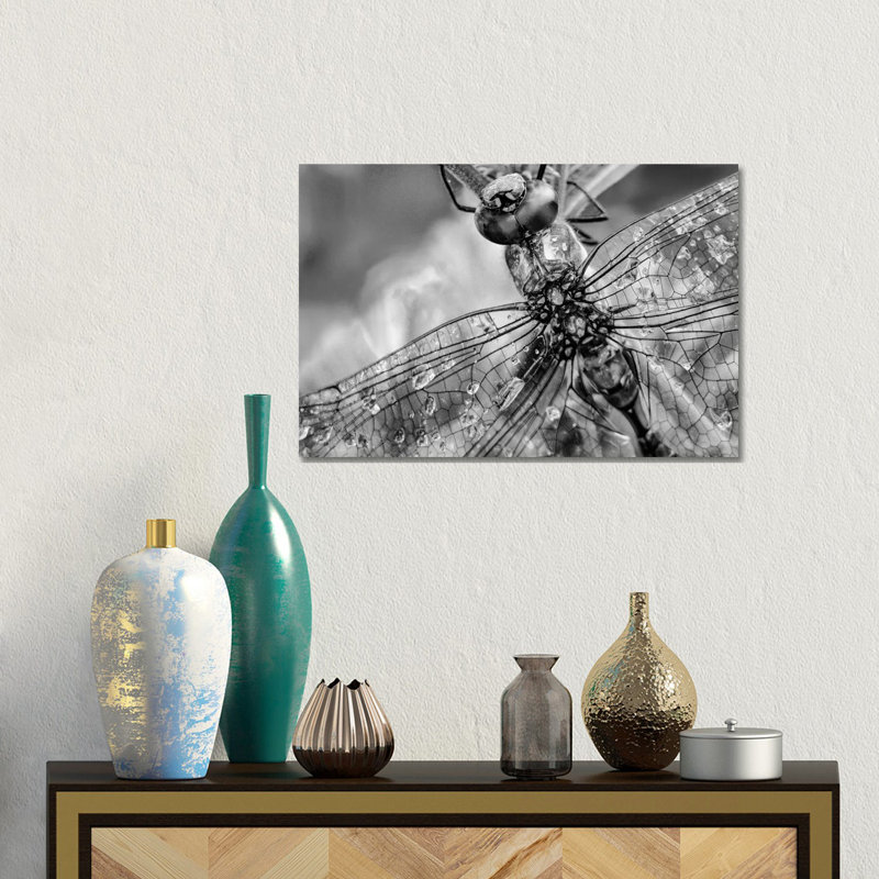 Southern Hawker Dragonfly Close Up, Moisture On Wings, New Mexico by Tim Fitzharris - Gallery-Wrapped Canvas Giclée on Canvas