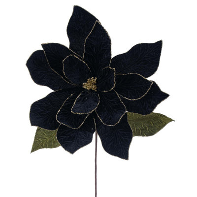 Tiges de poinsettia