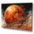 Wrapped Canvas