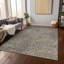 Tapis intérieur / extérieur lavable à la machine Chayden ACN988-109614088