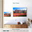 Nicci Amsterdam Tulips-111858717