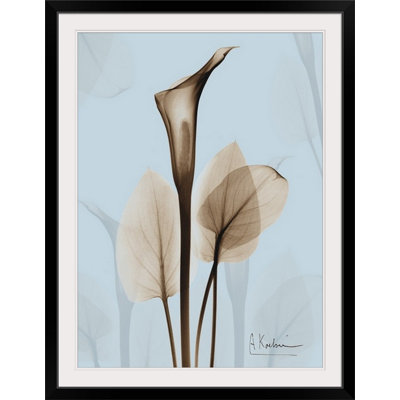 Reproduction de photo Manigault "Calla Lily X-Ray floral" par Kiranjit