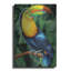  «Toucan» par Tim Jeffs, art mural en métal, 12 po x 16 po-1325833606