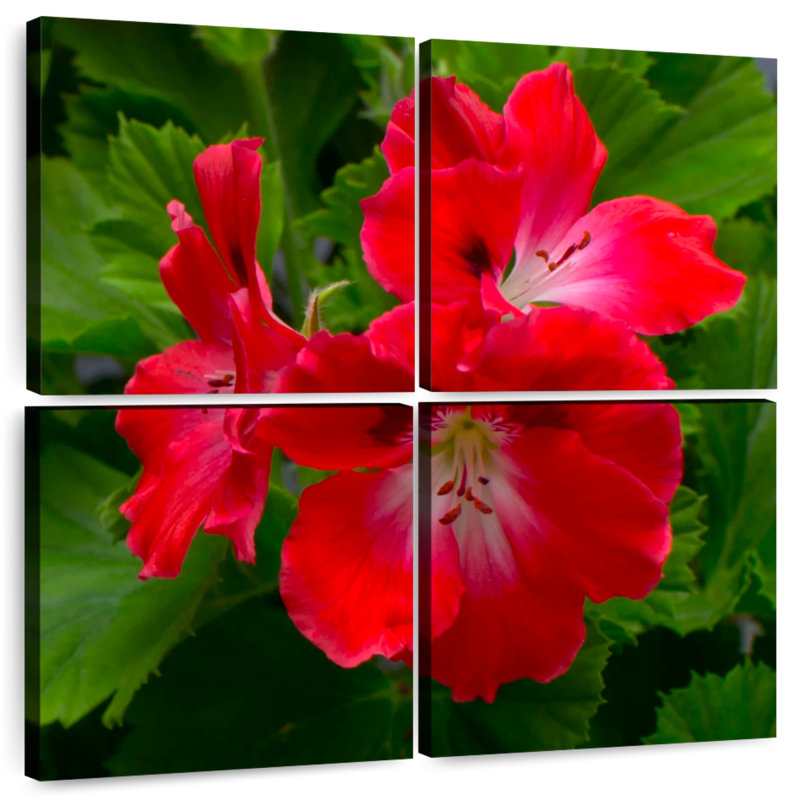 Fleurs d'hibiscus rouges Harnek, H 18 po x l 18 po