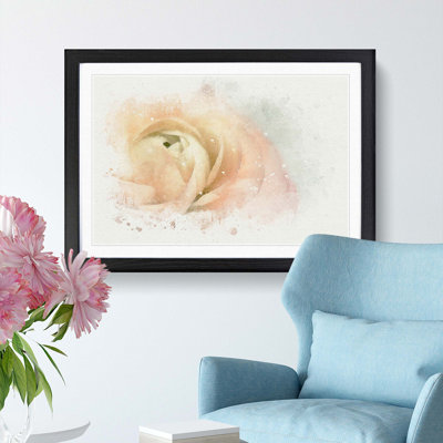 Pink Ranunculus Flower - Framed Print