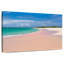Rose Gillard sable-108703297
